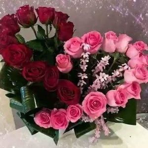 Meet your Posher, Leonor